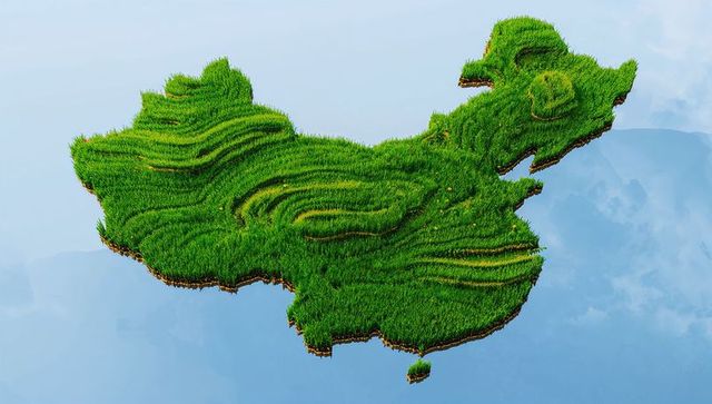 Stylized 3D Map of China with Lush Green Terraced Fields