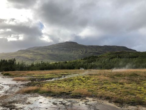 Steam rising from geothermal marsh with moss-carpeted meadow and looming mountain
