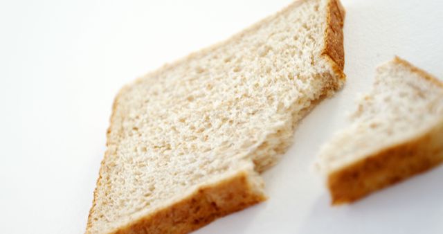 Whole Wheat Bread Slice and Crumbly Piece on Plain Background - Download Free Stock Images Pikwizard.com