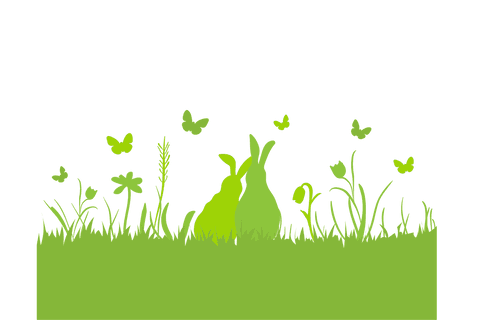 spring landscape with rabbits and butterflies transparent background - Download Free Stock Videos Pikwizard.com