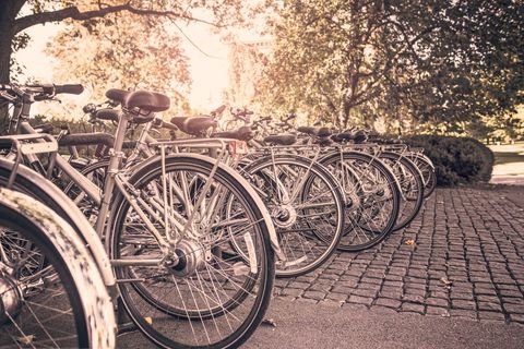 Row of Vintage Bicycles Lined Up in Park