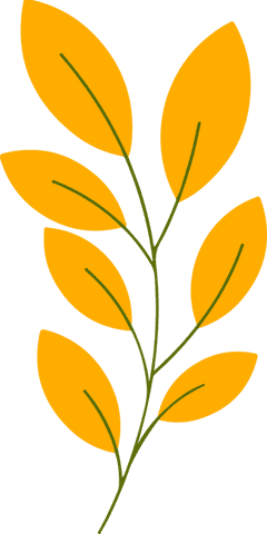 Fresh botanical branch with vibrant yellow-orange leaves, transparent background