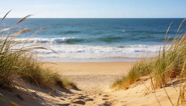 Sunlit sandy dune path leading to calm blue ocean with wind-swept beach grass