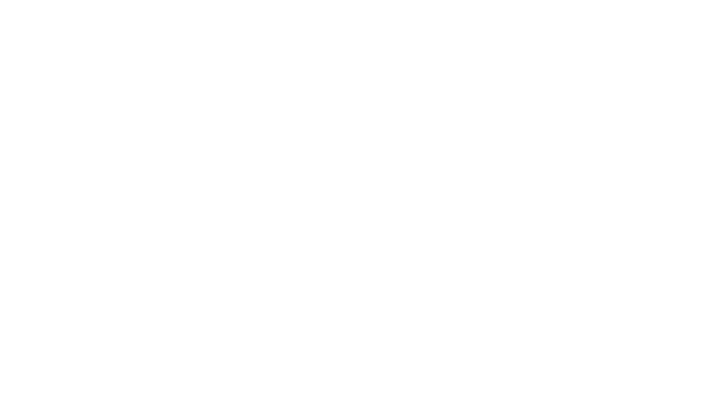 Transparent Vector Silhouette of Two Fencers Engaged in Combat - Download Free Stock Videos Pikwizard.com