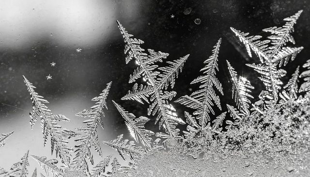 Fernlike frost crystals on glass macro showing dendritic ice texture and bokeh