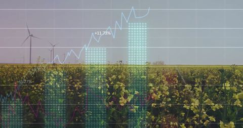 Digital Graphs Overlaying Wind Farm and Yellow Flower Field