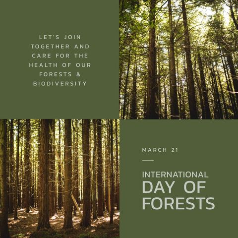 International Day of Forests Celebration with Majestic Trees - Download Free Stock Templates Pikwizard.com