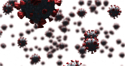 transparent background covid-19 virus cell cluster visualization - Download Free Stock Videos Pikwizard.com