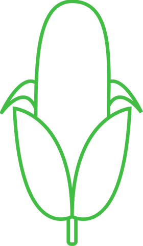 Green Corn Symbol on Transparent Background for Agriculture Use - Download Free Stock Videos Pikwizard.com