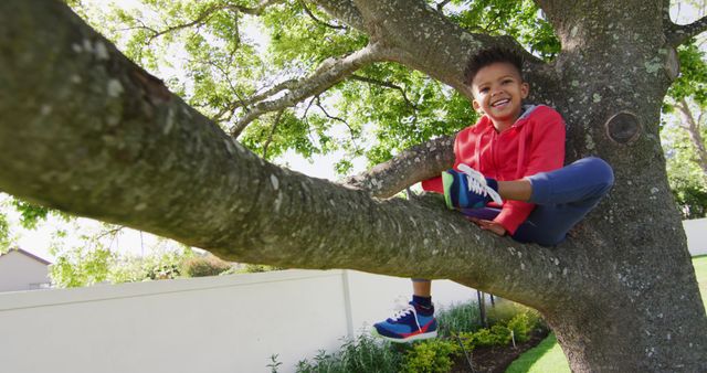 Young boy enjoying countryside adventure sitting in tree with big smile, showing joy of outdoor activities. Ideal for advertisements, educational materials, and articles about childhood, outdoor activities, recreation, and healthy lifestyles.