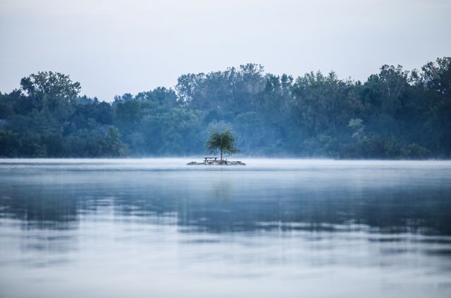 Image showing a small, isolated island with a single palm tree in the center of a misty lake, conveying a sense of tranquility and solitude. Useful for themes involving peace, nature conservation, isolation, meditation, and escape from urban life. Ideal for articles, websites, and creative projects focusing on minimalism, remote locations, and serene settings.