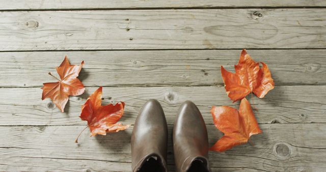 Image of autumn shoes and leaves on wooden background. seasons, autumn, fashion and coziness concept.