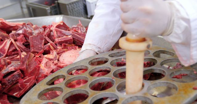 Butcher Grinding Meat for Sausage Production in Food Processing Plant - Download Free Stock Images Pikwizard.com