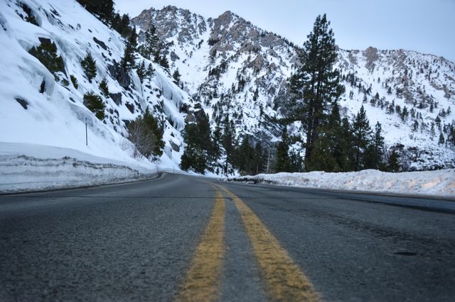 Snowy Mountain Road with Snow-Covered Trees and Peaks - Download Free Stock Photos Pikwizard.com