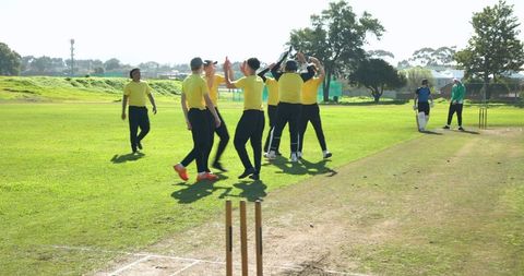 Cricket Team Celebrating on Field After Wicket