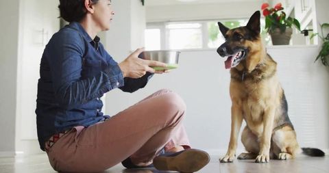 Woman Feeding German Shepherd Indoors with Potted Plants