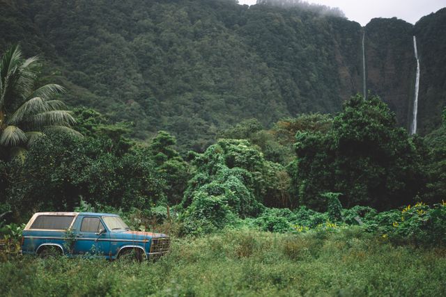 Abandoned vintage car surrounded by lush tropical jungle and thick vegetation with a waterfall in the distance. Perfect for themes of adventure, wilderness, isolation, and nature's reclaiming of man-made objects. Ideal for travel blogs, environmental projects, and rustic adventure narratives.