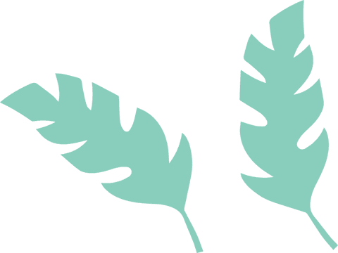 Transparent botanical leaves in flat vector design