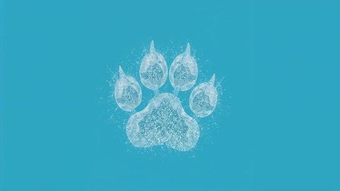 Abstract white paw print on teal background with textured design