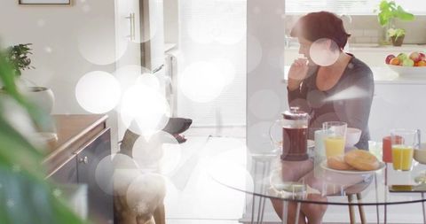 Sunlit morning coffee ritual: woman sipping french press at glass kitchen table with dog