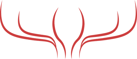 Red Abstract Shapes on Transparent Background Illustration - Download Free Stock Videos Pikwizard.com