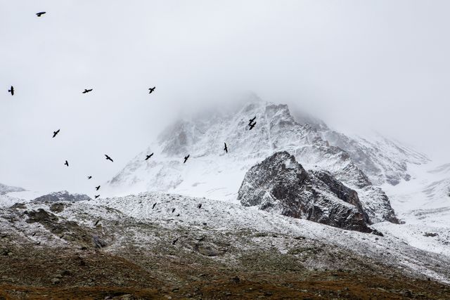 Snow-covered mountain peak shrouded in mist with ravens flying in the cloudy sky. Suitable for depicting remote, untouched wilderness, winter travel destinations, and dramatic nature scenes.