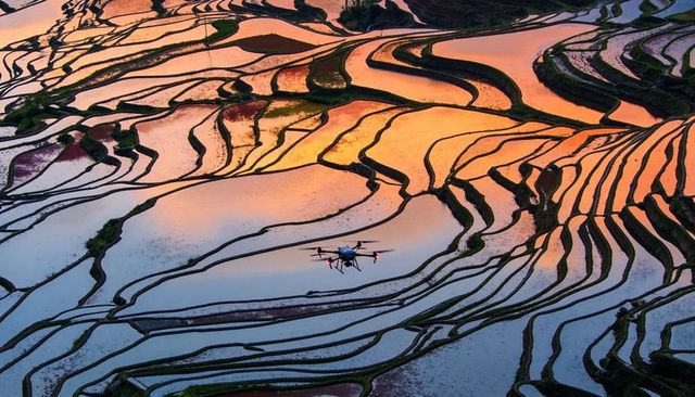 Hovering drone over reflective rice terraces at sunrise, curving water-filled paddies