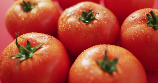Fresh Ripe Tomatoes with Water Droplets Close-Up - Download Free Stock Images Pikwizard.com