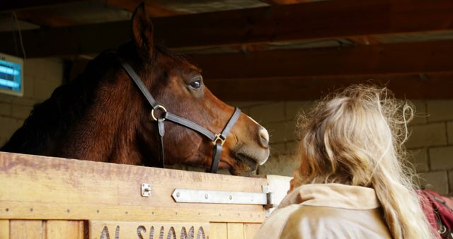 Lady tending to a horse in a stable, providing care and engaging with animal, suitable for topics related to animal care, rural lifestyle, equestrian activities, livestock management, veterinarian context, building companionship with animals or depicting farm and stable work dynamics.