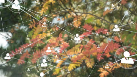 Digital Networking Animation Over Autumn Trees