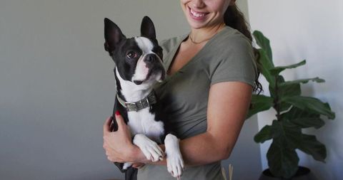 Smiling Woman Holding Boston Terrier in Cozy Home Setting