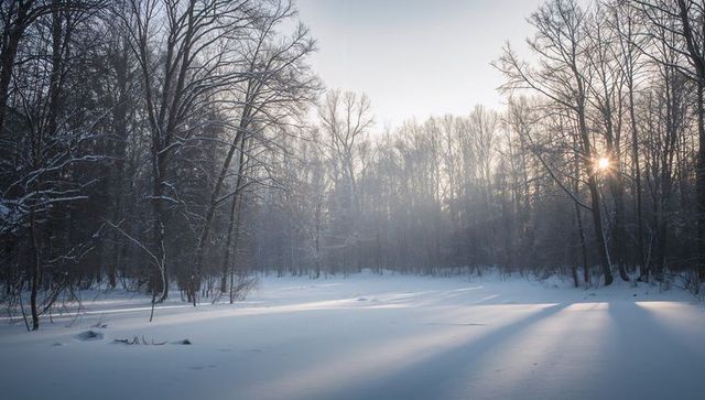 Winter sunrise starburst through bare trees over snow forest clearing casting long shadows