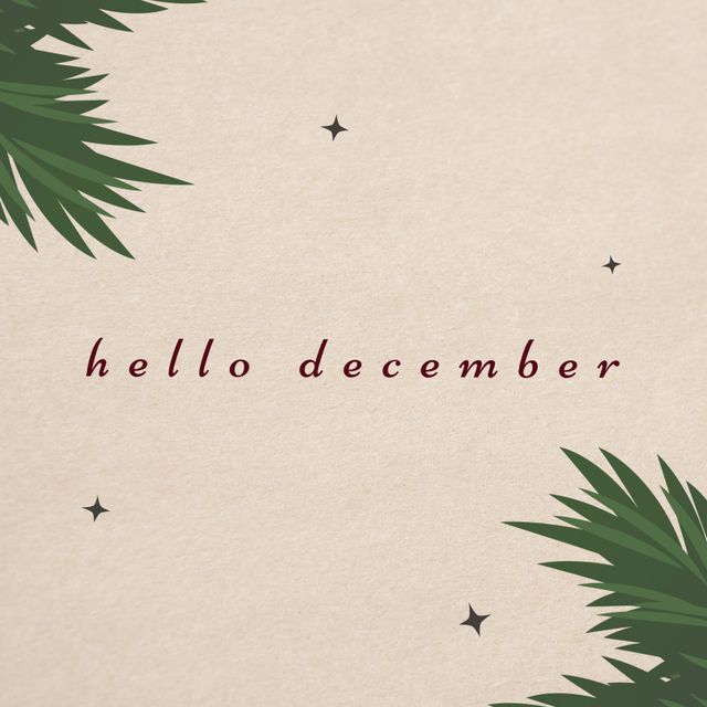 Illustration of hello december text with palm leaves and stars over white background, copy space. Vector, christmas, winter, welcome, greeting, holiday, design, art and celebration concept.