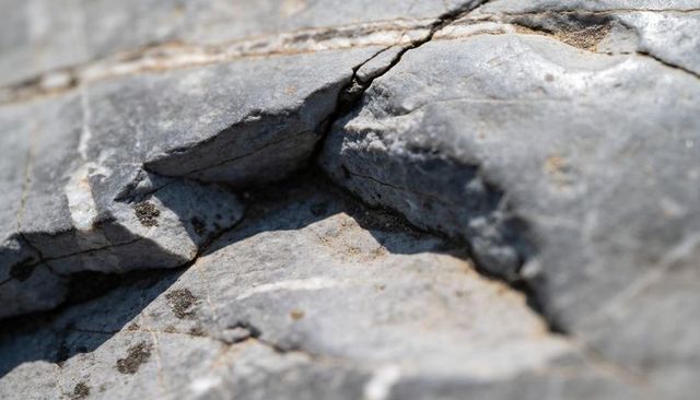 Fractured light-gray bedrock showing thin white veins and sand-filled crevices