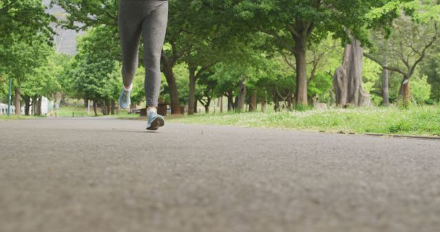 Low Angle View Leggings Jogger Running in Park - Download Free Stock Images Pikwizard.com