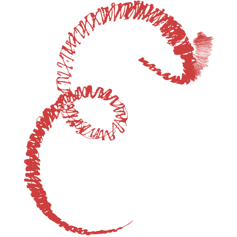 Energetic Red Arrow Icons on Transparent Background - Download Free Stock Videos Pikwizard.com
