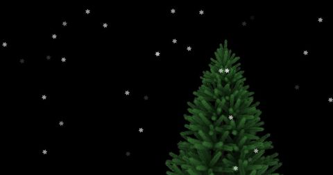Festive Christmas Tree and Falling Snowflakes on Black Background