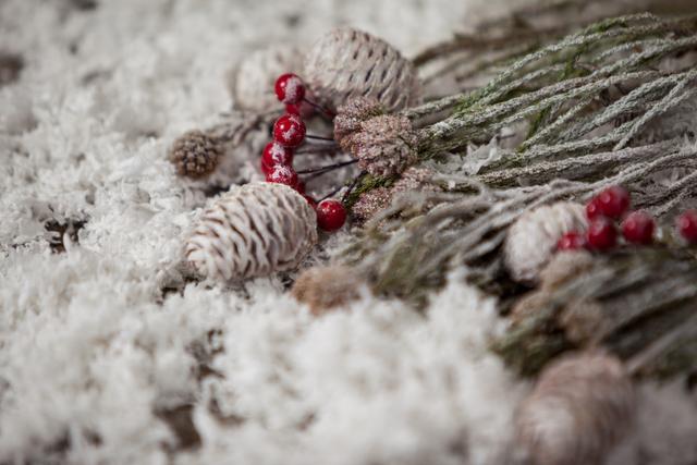 Close-up of Pine Cones and Red Berries with Fake Snow - Download Free Stock Photos Pikwizard.com