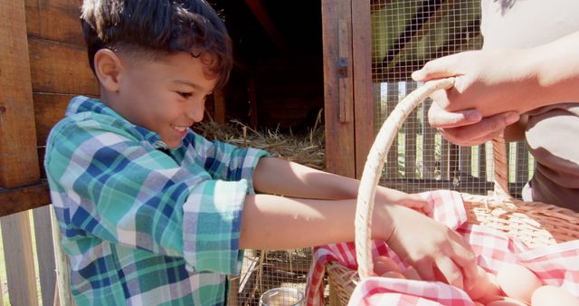 Happy Child Collecting Eggs on Farm - Download Free Stock Images Pikwizard.com