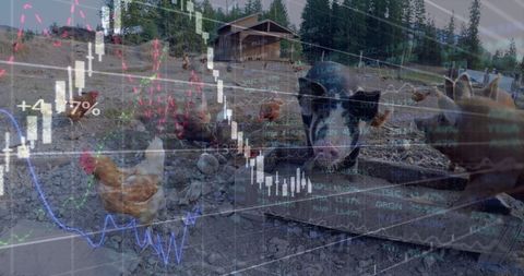 Finance Graphs Overlayed on Farm Livestock Depicting Market Trends