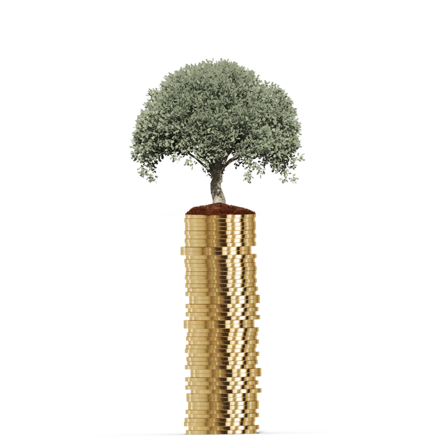 Transparent Growing Tree on Stack of Gold Coins PNG Illustration - Download Free Stock Videos Pikwizard.com