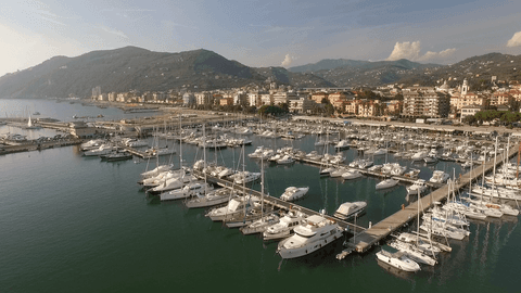 Transparent Marina Aerial with Sailboats and Scenic Cityscape - Download Free Stock Videos Pikwizard.com