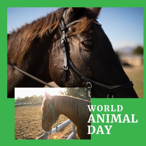 world animal day horses grazing in sunlit pasture - Download Free Stock Templates Pikwizard.com