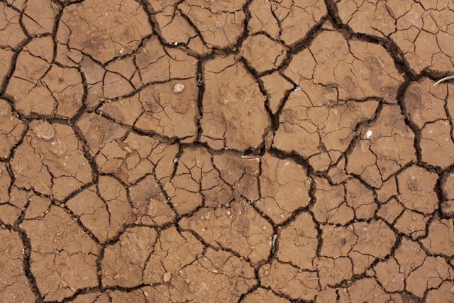 The close-up view of a dry, cracked earth surface is suitable for projects related to environmental issues, especially focusing on topics like drought, climate change, and water scarcity. It can be used in educational materials, scientific studies, and awareness campaigns about desertification and arid regions.