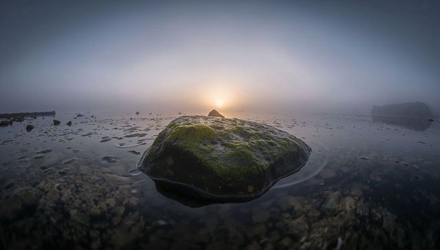 Moss-covered rock reflecting sunrise glow in misty tidal pool calm coastal dawn