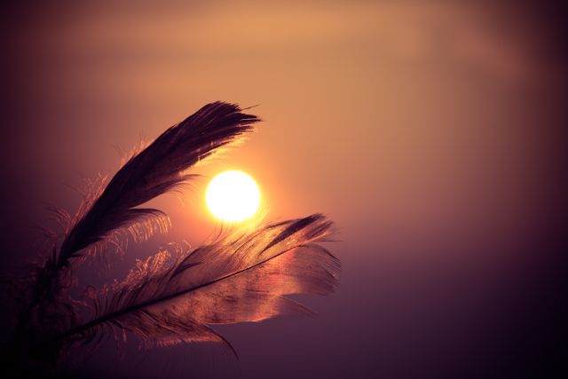 Silhouette of feather against sunset, highlighting peaceful and serene atmosphere with vibrant sky. Ideal for use in meditation content, nature appreciation themes, evening tranquility, and artistic designs.