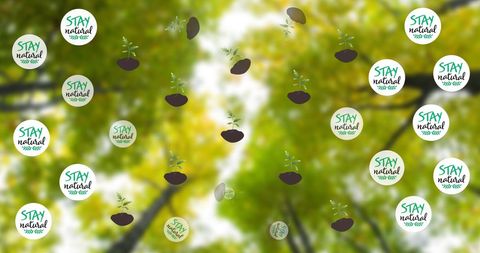 Emphasizing Organic Living Amidst Lush Greenery Background