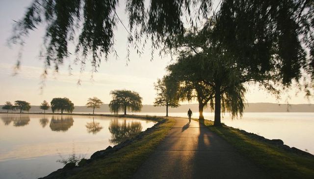 Silhouetted bicyclist pedaling along lakeside path at golden hour with willow reflections