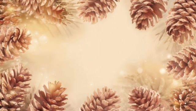 Frosted pine cone border on warm cream bokeh background for holiday greeting cards