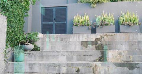 Weathered concrete steps leading to modern facade featuring planter boxes and louvered shutters